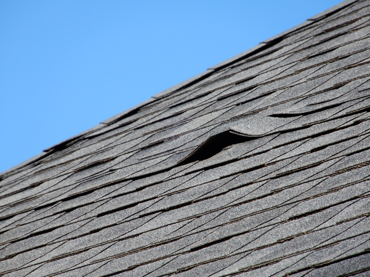 roof-shingle-damage